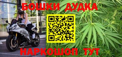 индика Аргун