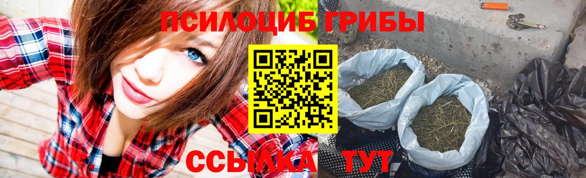 Волгоград  как найти закладки  Вход с VPN  Галлюциногенные грибы Psilocybine cubensis 