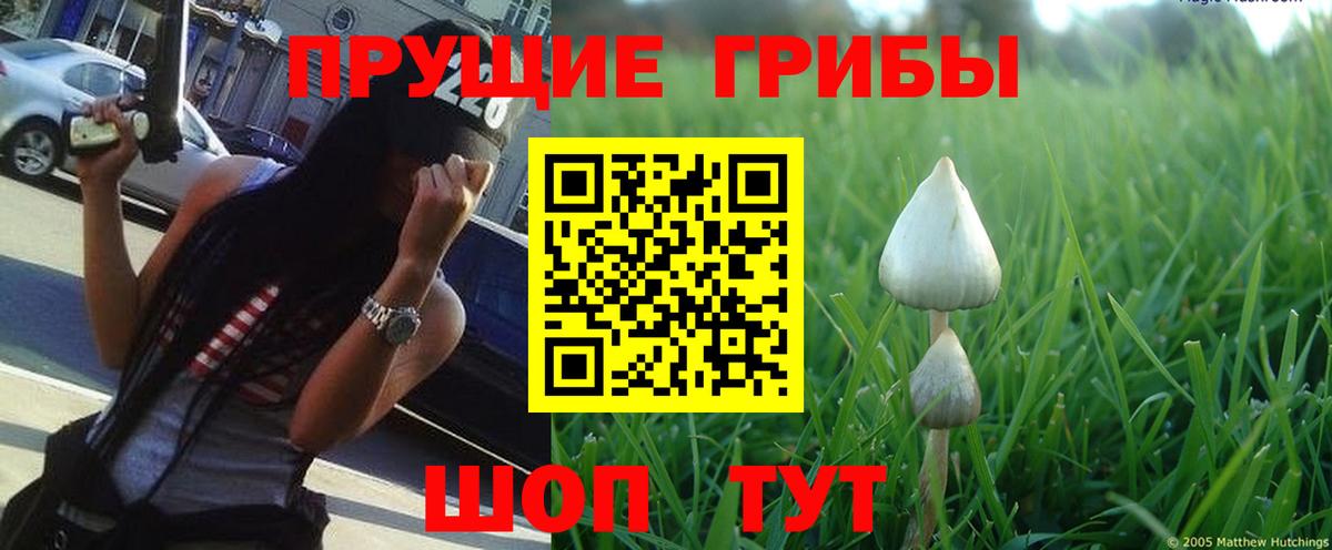 Псилоцибиновые грибы мухоморы Волгоград